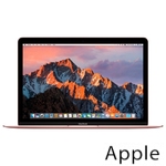 Ремонт Apple MacBook Mid в Тольятти